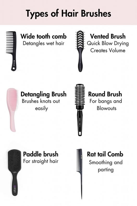 Best Hair Brushes for Every Hair Type & Style - Brittany Cosmetics